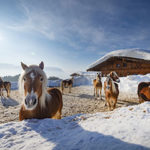 Sanfter Winter im Kaiserwinkl